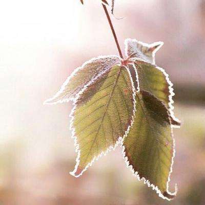 网络手机赌钱软件下载截图